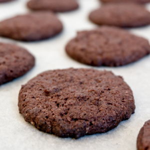 Homemade "Oreos" Sans Filling