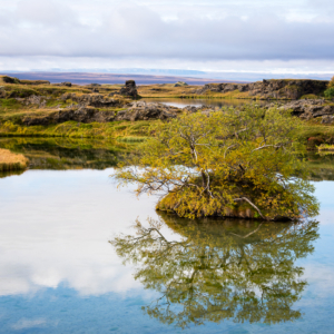 day13 iceland