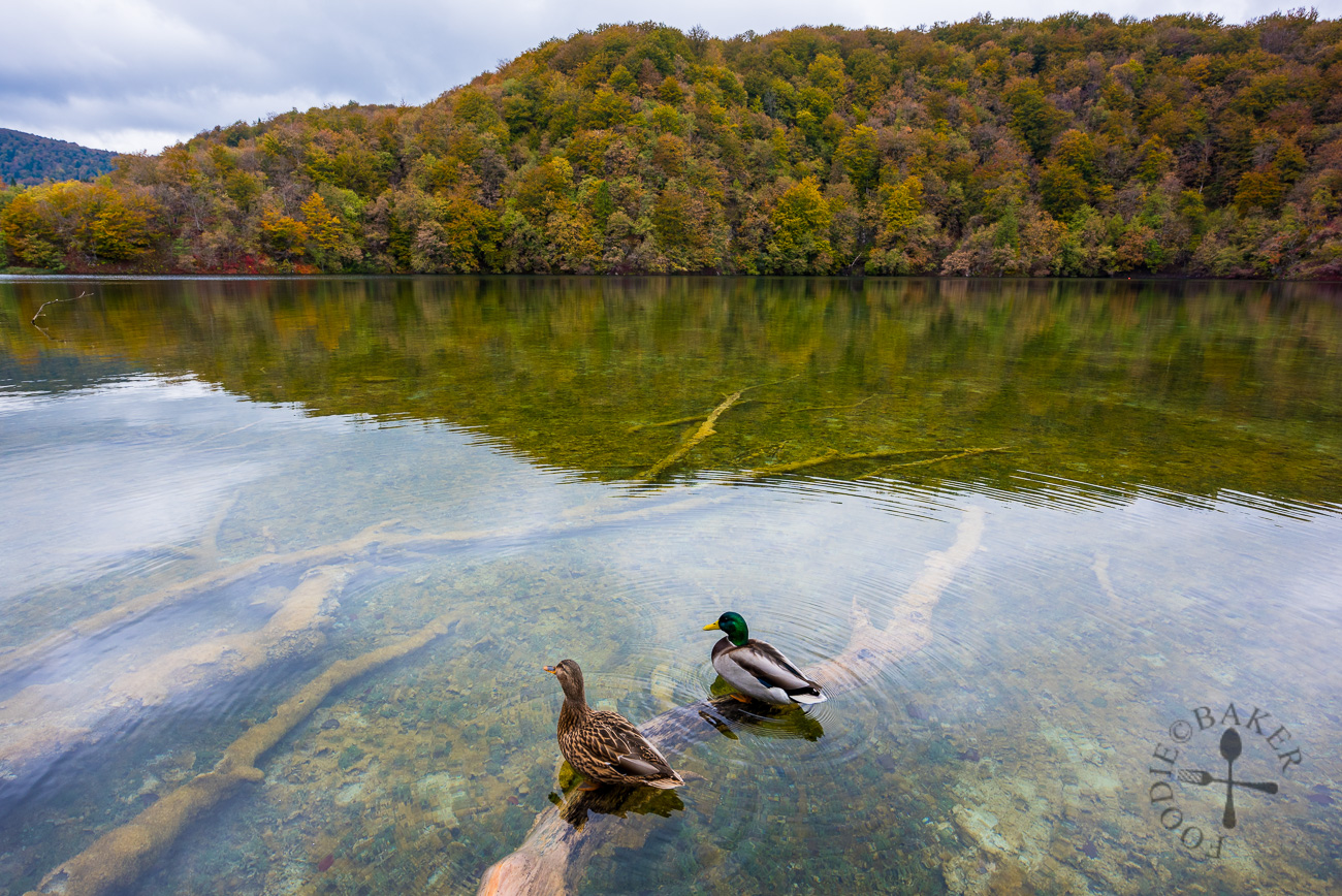 Plitvice Lakes National Parka