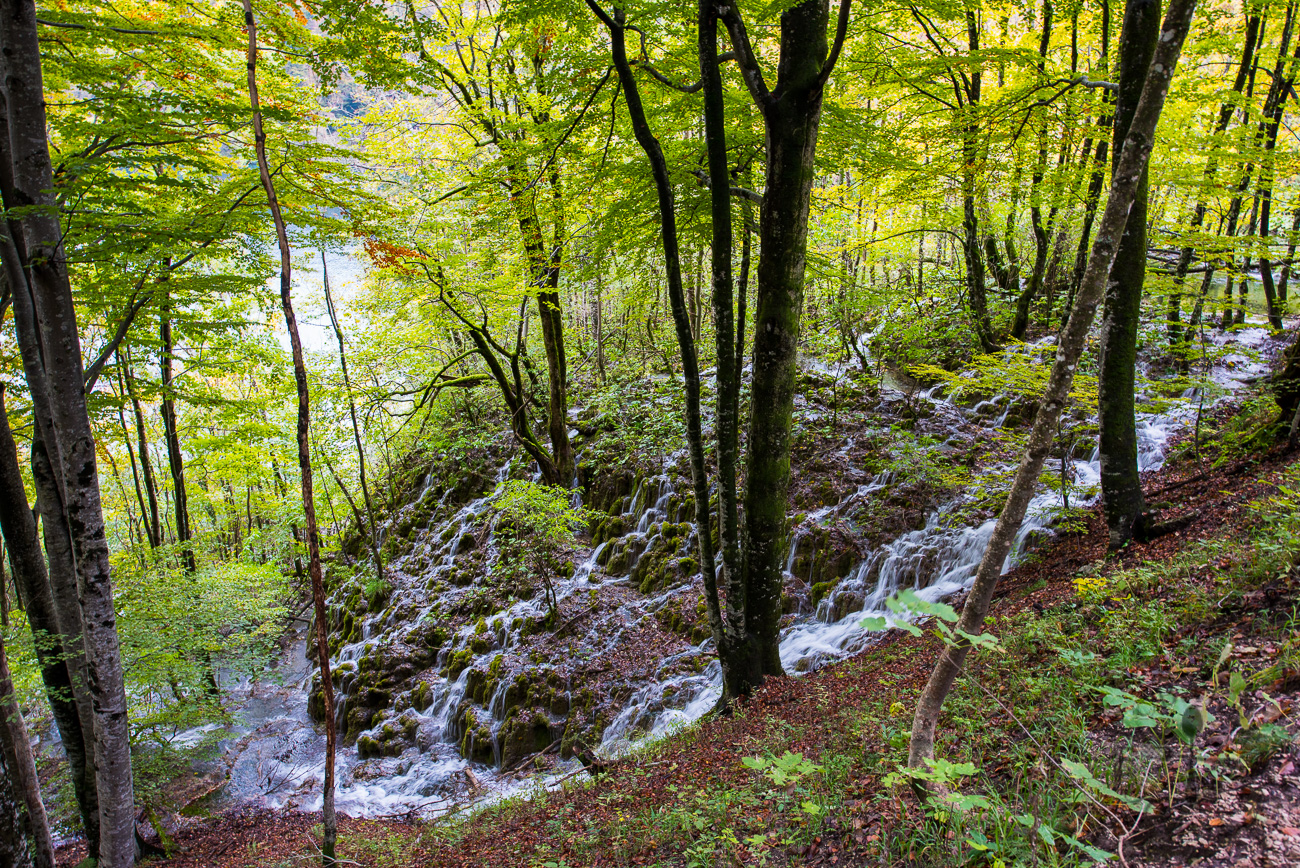 Plitvice Lakes National Parka