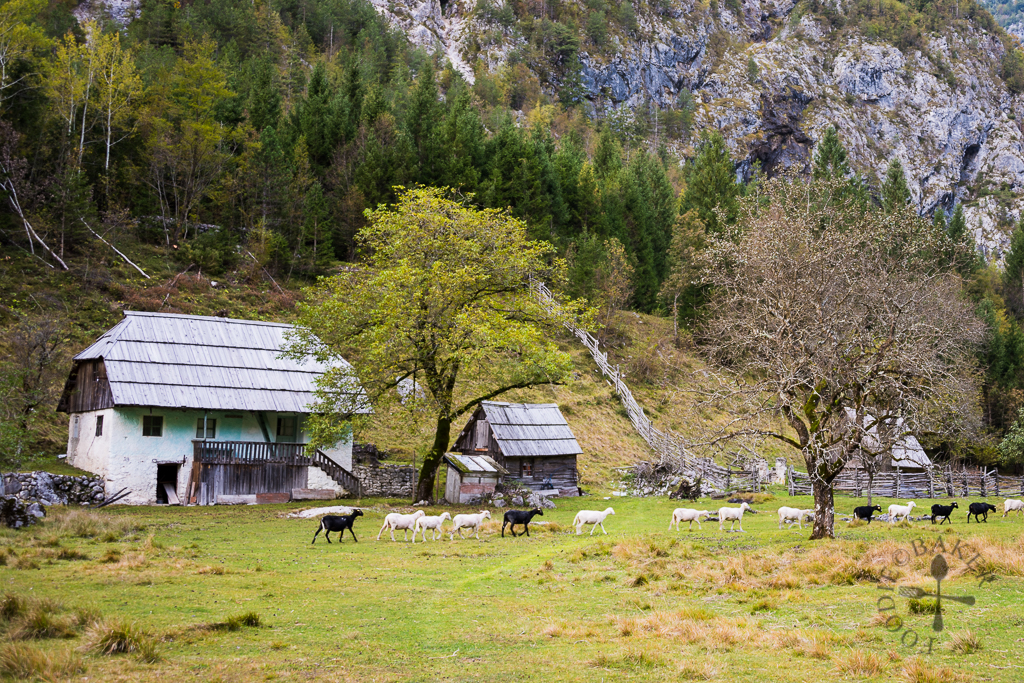 Hiking, Slovenia