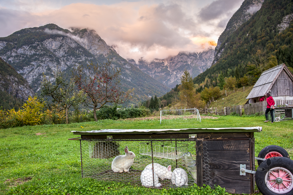 Pri Plejeru Farm, Slovenia